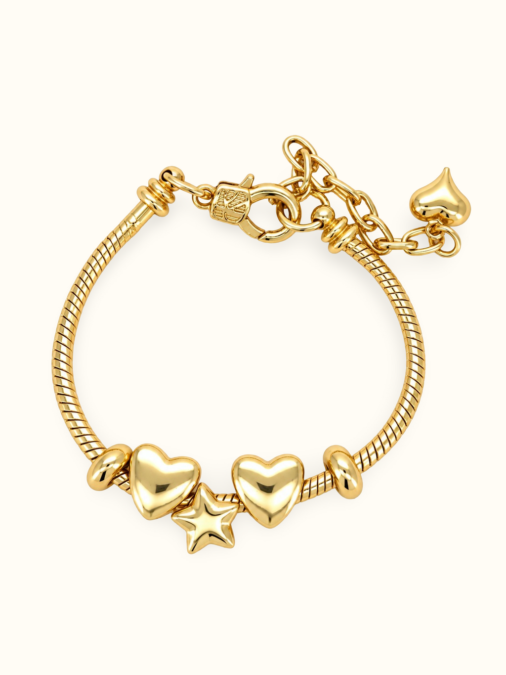 Golden Wish Charm Bracelet
